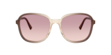 Brown Trasparent