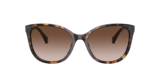 Marrone Havana