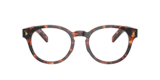 Magma Tortoise