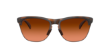 Tartarugato