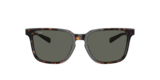 Tartarugato