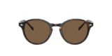 Havana Scuro