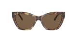 Havana marrone brillante