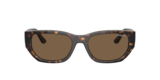 Havana Scuro