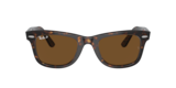 Tartarugato