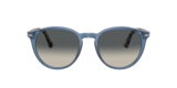 Blue/Brown Tortoise