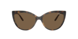 Havana Scuro