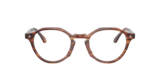 Striped Shiny Brown