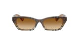 Check Gradient Sand