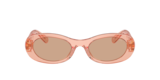 Noisette Transparent