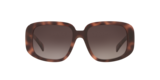 Tartarugato