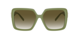 Kaki