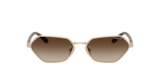 Havana Scuro