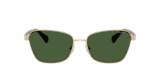 Havana Scuro