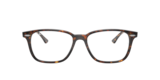 Tartarugato