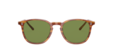 Sugi Tortoise