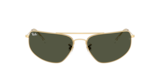 Oro Arista