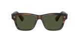 Tuscany Tortoise