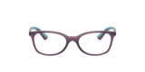 Viola