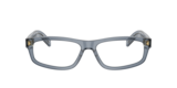Transparent Ocean/Silver