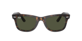 Tartarugato