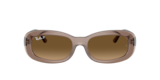 Beige trasparente