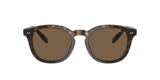 Shiny Dark Havana/Blue