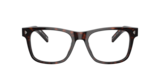 Radica Tortoise