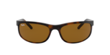 Havana Scuro
