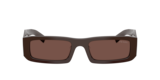 Cigar