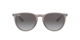 Grigio Trasparente